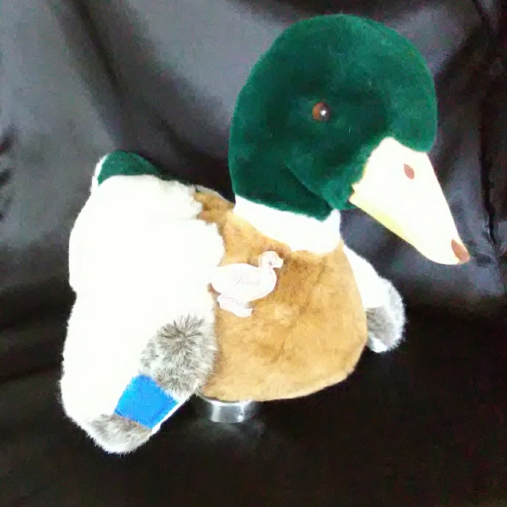 The Peabody Memphis Duck !!